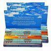 ELEMENT'S SINGLEWIDE DOUBLE WINDOW ULTRA THIN RICE ROLLING PAPERS